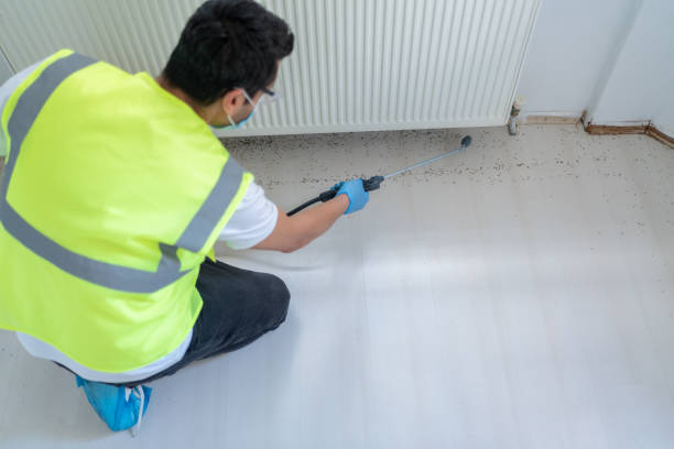 Pest Control for Warehouses in Running Springs, CA